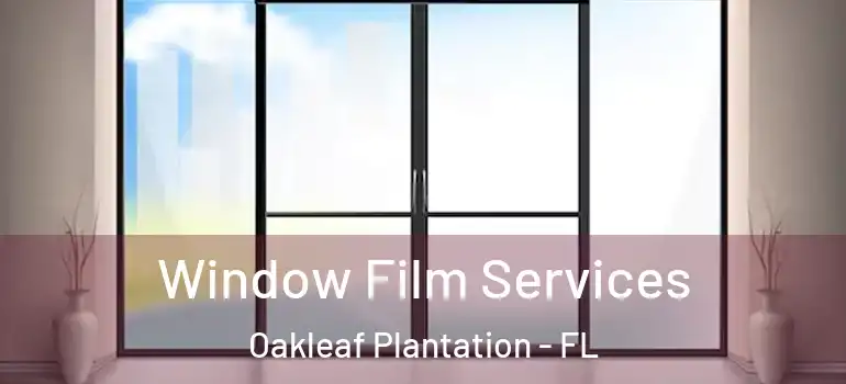  Window Film Services Oakleaf Plantation - FL