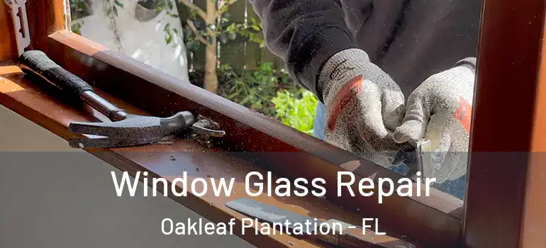  Window Glass Repair Oakleaf Plantation - FL