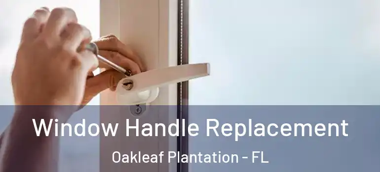  Window Handle Replacement Oakleaf Plantation - FL