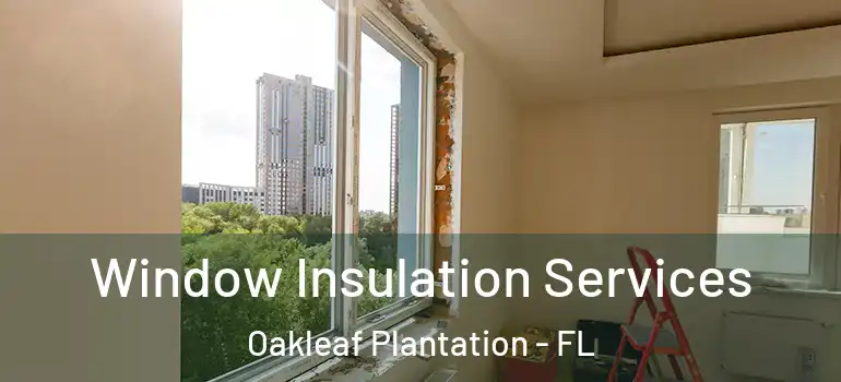  Window Insulation Services Oakleaf Plantation - FL