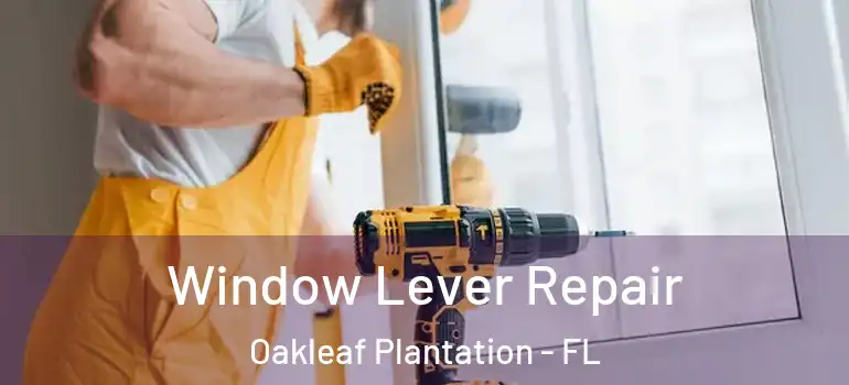  Window Lever Repair Oakleaf Plantation - FL