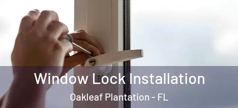  Window Lock Installation Oakleaf Plantation - FL