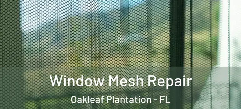  Window Mesh Repair Oakleaf Plantation - FL