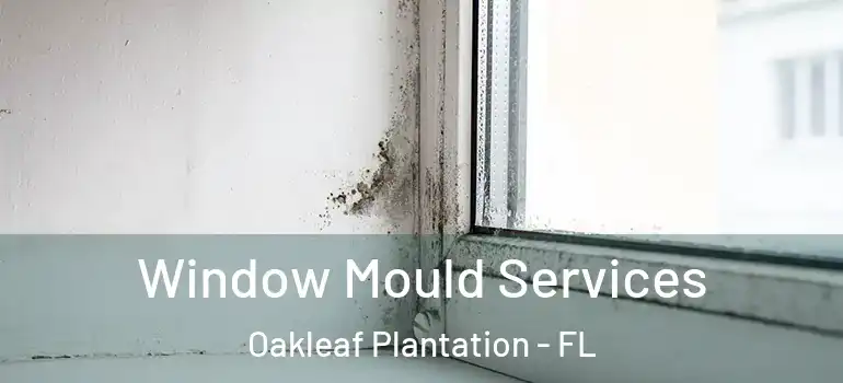  Window Mould Services Oakleaf Plantation - FL