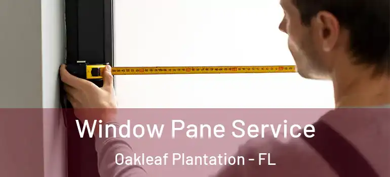  Window Pane Service Oakleaf Plantation - FL