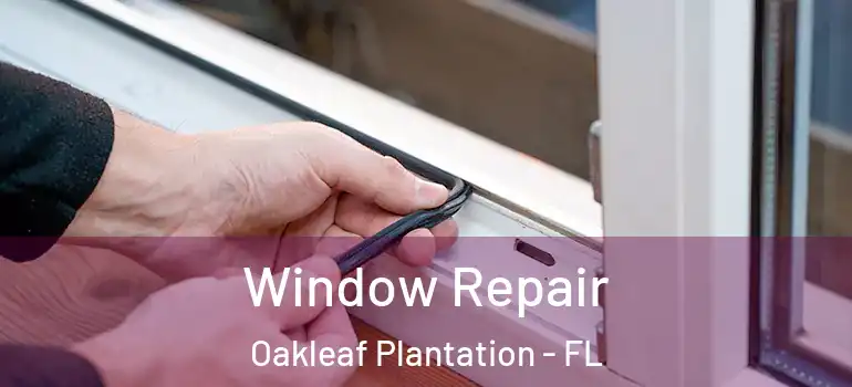  Window Repair Oakleaf Plantation - FL
