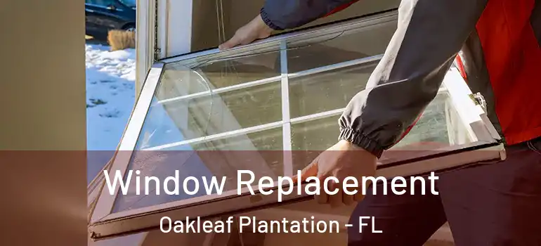  Window Replacement Oakleaf Plantation - FL
