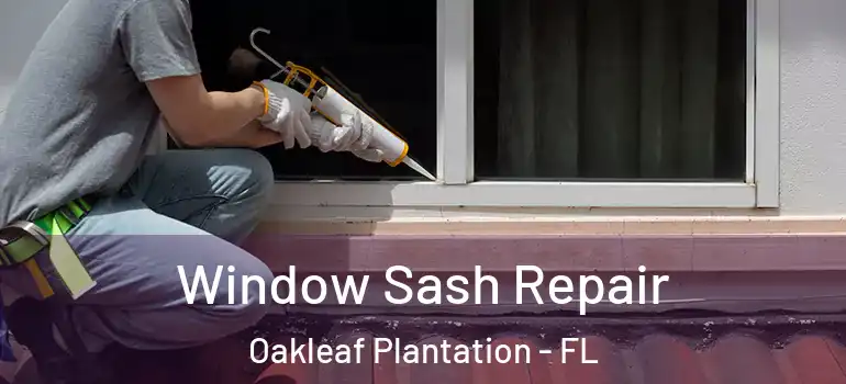  Window Sash Repair Oakleaf Plantation - FL