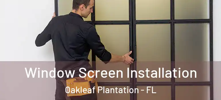  Window Screen Installation Oakleaf Plantation - FL