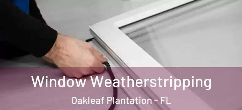  Window Weatherstripping Oakleaf Plantation - FL