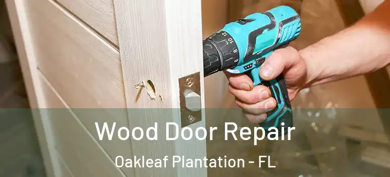  Wood Door Repair Oakleaf Plantation - FL